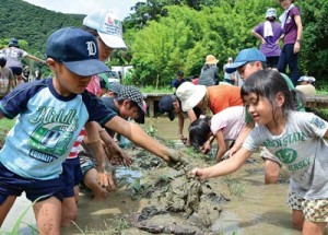 泥染めのミニタオル作りに挑戦した児童生徒ら＝１５日、奄美市名瀬