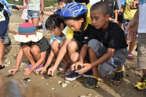 子ガメを海に放す児童ら＝２２日、奄美市笠利町屋仁