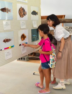 大島海峡で発見された新種の海洋生物を紹介する写真展＝８日、瀬戸内町立図書館