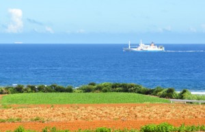 連日、青空が広がり日中の最高気温が３０度を超える真夏日が続いた沖永良部島＝８月上旬、和泊町