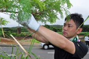 マニュアルに基づく初動対応でテックス板を設置する行政関係者＝６月２６日、知名町