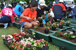 両陛下の来島に向けてプランターに花を植える子どもら＝１５日、和泊町