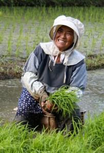 ＫＡＭあまみ２１大賞に輝いた福山由美子さんの作品「大好きな農業」