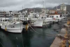 連続台風の影響で係留が続く漁船＝２７日、奄美市名瀬