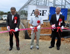 徳之島コーヒーの栽培支援事業本格実施のテープカットを行うＡＧＦの石川副社長、生産者会の吉玉会長、大久保町長（左から）＝１３日、伊仙町伊仙