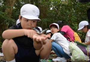 捕獲場所や日付などをマークしたアサギマダラを放す児童＝７日、龍郷町の自然観察の森