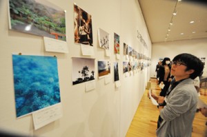 それぞれが撮った写真８６枚を見比べる学生ら＝２３日、田中一村記念美術館
