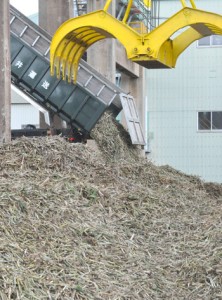 製糖シーズンが始まり工場に搬入されるサトウキビ＝２０日、徳之島町徳和瀬