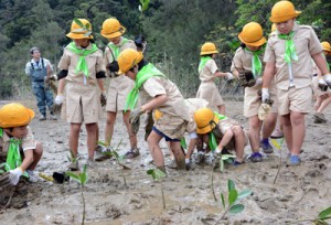 メヒルギの苗木を植える田検小の児童ら＝７日、宇検村湯湾