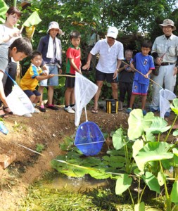 プロジェクトの一環でトウギョなどの生物を水田で調査するファングル塾の会員と子どもら＝１４年９月、知名町瀬利覚