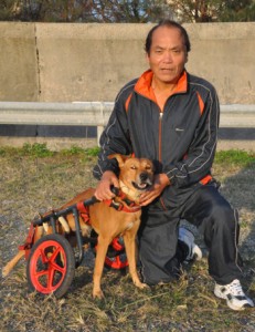 車いす犬ラッキーと島田さん