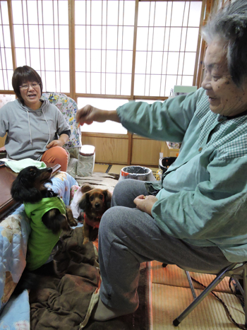 大切な家族の一員 奄美各地の愛犬 ２ 南海日日新聞