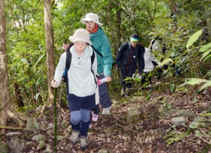 古道を歩くトレイルウオーク参加者＝２８日、奄美市住用町