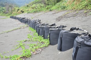  浸食対策で護岸を新設する方針が決まった嘉徳海岸