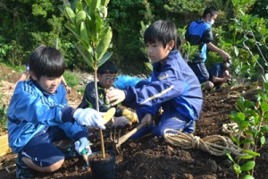 「ふるさとの森に」との願いを込め植樹を行う参加者＝２１日、与論町多目的屋外運動場