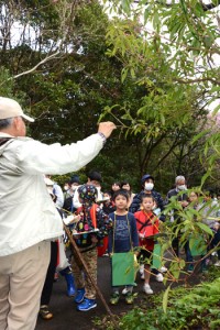 植物の説明を聞く「子ども博物学士」の受講生ら＝２０日、龍郷町の奄美自然観察の森