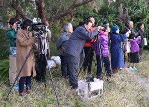 冬鳥の観察を楽しんだ探鳥会参加者ら＝１日朝、奄美市笠利町の大瀬海岸