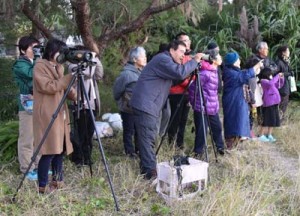 冬鳥の観察を楽しんだ探鳥会参加者ら＝１日朝、奄美市笠利町の大瀬海岸