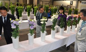前年から大幅増の８１点が出品された切り花品評会＝２１日、知名町