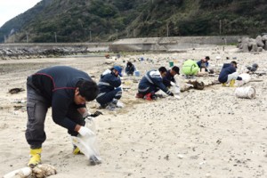 手作業で漂着油の回収を行う参加者＝１４日、龍郷町嘉渡