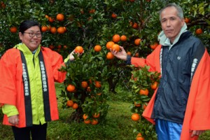 鮮やかに色づいたタンカンを手に、収穫シーズンの始まりを祝う大海部会長（右）と園主の内山さん＝１日、龍郷町大勝