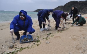 手作業で漂着油の回収を行う県職員ら＝１１日、和泊町の畦布ワンジョビーチ