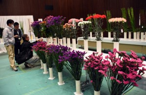 出品された切り花を鑑賞する関係者＝１日、鹿児島市のかごしま県民交流センター