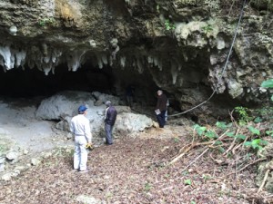 県指定文化財として県教委に答申された知名町久志検の中甫洞穴（県教育委員会提供）