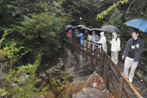 屋久島の観光名所「白谷雲水峡」を見学する奄美の観光関係者＝５日、屋久島町