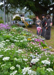 大島紬に身を包み花を楽しむ参加者＝１５日、龍郷町の赤尾木教会