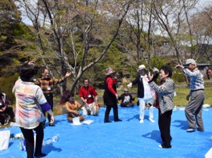 島唄を歌って花見を楽しむ参加者＝１日、さつま町