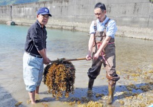 与論町漁協に提供するために藻が付着した造成用ブロックを回収する関係者＝２０日、奄美市住用町の戸玉漁港