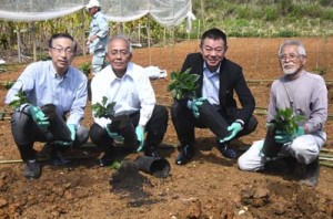 苗植え式に出席した徳之島コーヒー生産支援プロジェクトの代表者ら＝２０日、伊仙町面縄