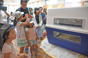 かごに入ったケンタを観察する子どもたち＝１９日、鹿児島市の平川動物公園