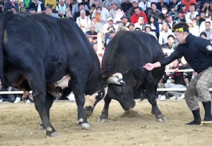 白熱した取組に沸いた全島一決定戦（右が新チャンピオンの力道山