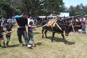 昔ながらのサタグンマの実演があった黒糖まつり＝５日、徳之島町畦