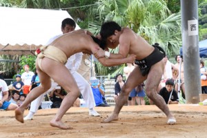 【男子団体決勝戦】れんと奄美大島開運酒造が優勝を決めた大将戦の立ち会い＝３日、小宿公民館