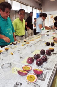 品質と生産技術の向上を目的に開かれたパッションフルーツ果実分析検討会＝１３日、瀬戸内町