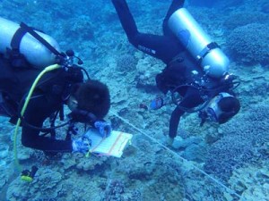 ボランティアダイバーらが参加したヨロン島リーフチェック＝５月２６日、与論島茶花沖（海の再生ネットワークよろん提供）