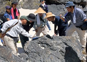 メランジュの構造や形成などを学んだ観察会＝１４日、徳之島町金見崎海岸