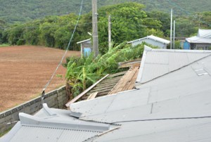 台風７号の強風で屋根が損壊した住家＝３日午後４時ごろ、龍郷町