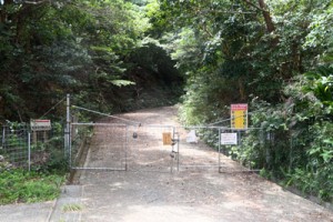 来年４月から試行、来年夏に本格的な通行規制が始まる林道山クビリ線＝２６日、徳之島町山