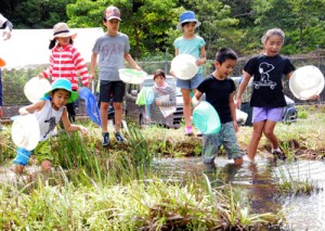  夢中になって生き物を探す子どもたち＝２９日、奄美市の大川ダムビオトープ