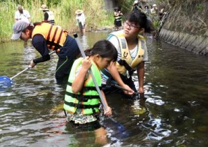 川の生き物を観察し、自然の豊かさを体感する参加者＝１８日、天城町三京