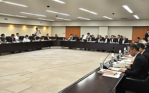 意見具申案を了承した奄振審議会＝１２日、東京都千代田区の中央合同庁舎