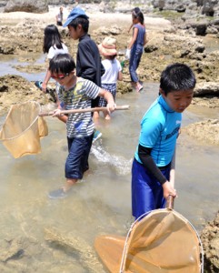 海岸の岩場などに隠れた生き物を探す児童ら＝２６日、知名町瀬利覚のミチュイ海岸