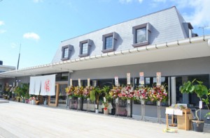 空き店舗を改修しオープンした伝泊＋まーぐん広場・赤木名