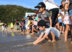 子ガメを海に放す児童ら＝２４日、奄美市笠利町屋仁