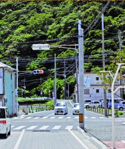 事業が凍結されているおがみ山バイパス予定地＝２９日、奄美市名瀬