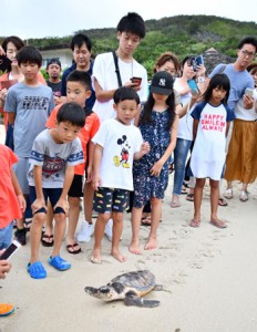 海に向かう子ガメを見守る子どもら＝１５日、奄美市名瀬の大浜海浜公園